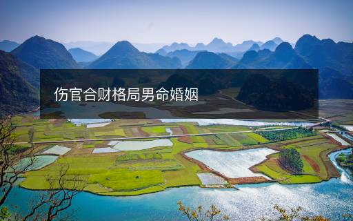 傷官合財(cái)格局男命婚姻