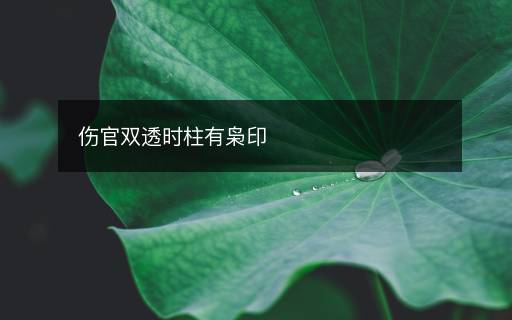 傷官雙透時柱有梟印