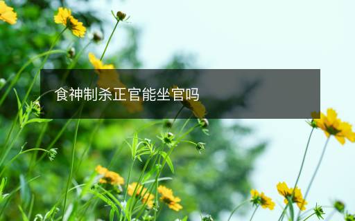食神制殺正官能坐官嗎