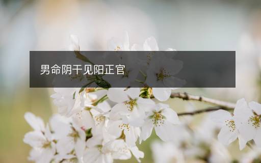 男命陰干見陽正官