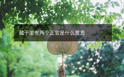 藏干里有兩個(gè)正官是什么意思