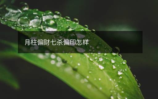 月柱偏財七殺偏印怎樣