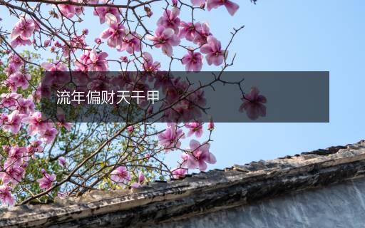流年偏財(cái)天干甲