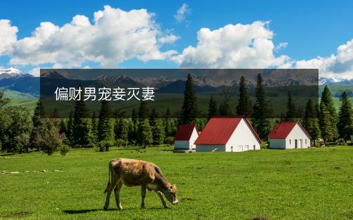偏財男寵妾滅妻
