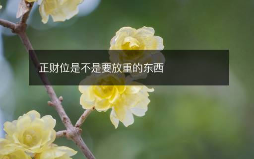 正財(cái)位是不是要放重的東西