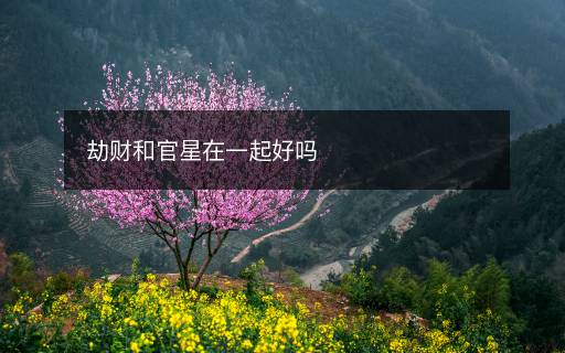 劫財和官星在一起好嗎