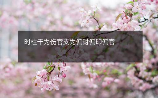 時(shí)柱干為傷官支為偏財(cái)偏印偏官