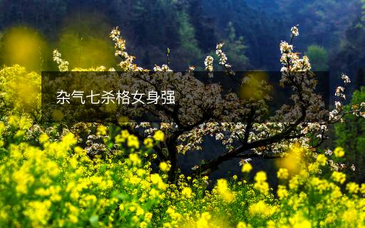 雜氣七殺格女身強