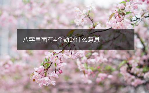 八字里面有4個劫財什么意思