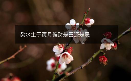 癸水生于寅月偏財是喜還是忌