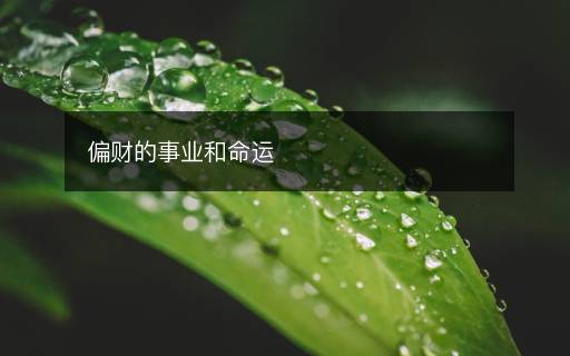 偏財?shù)氖聵I(yè)和命運