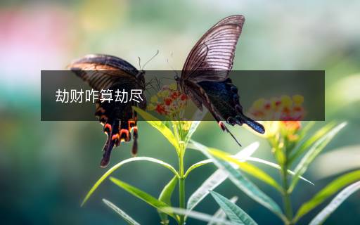劫財(cái)咋算劫盡