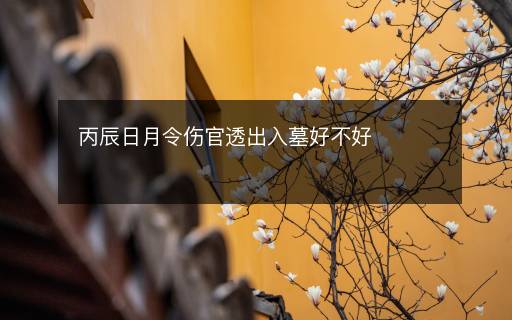 丙辰日月令傷官透出入墓好不好