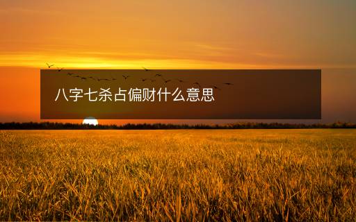 八字七殺占偏財什么意思