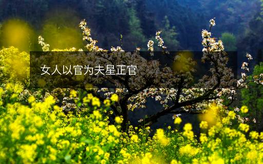 女人以官為夫星正官