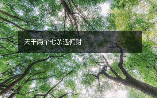 天干兩個七殺遇偏財