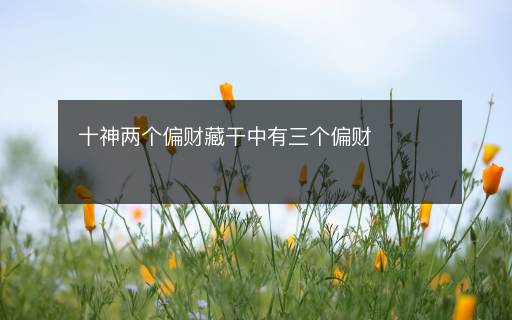 十神兩個(gè)偏財(cái)藏干中有三個(gè)偏財(cái)