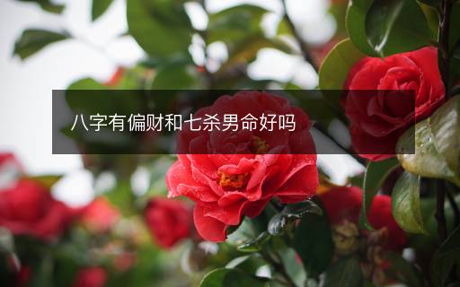 八字有偏財和七殺男命好嗎