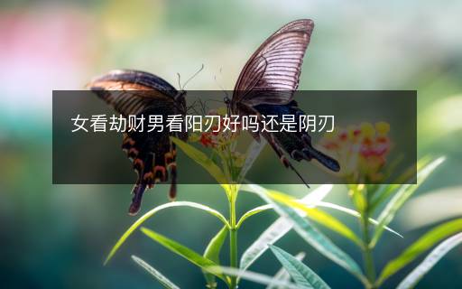 女看劫財男看陽刃好嗎還是陰刃