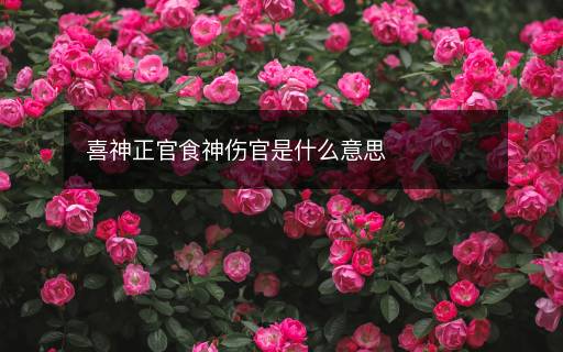 喜神正官食神傷官是什么意思