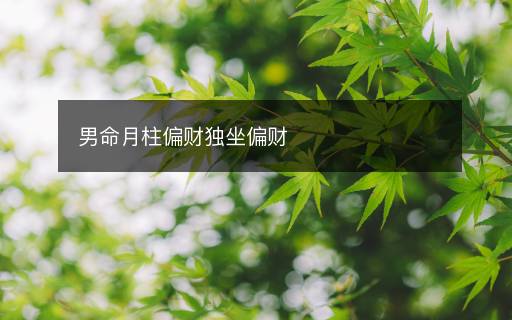 男命月柱偏財(cái)獨(dú)坐偏財(cái)
