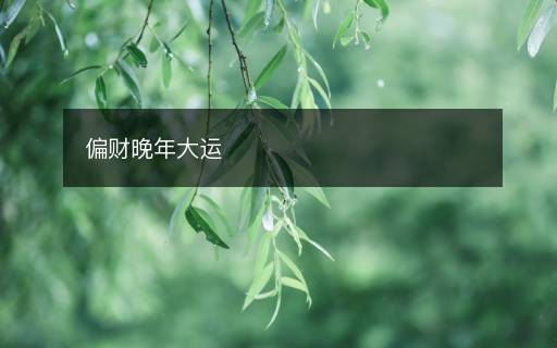 偏財(cái)晚年大運(yùn)
