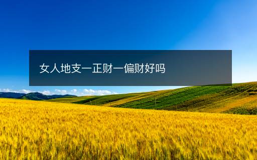 女人地支一正財一偏財好嗎