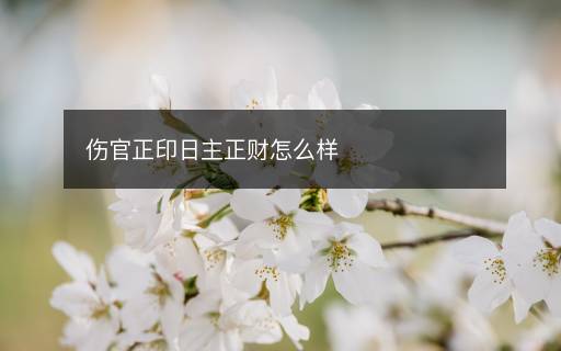 傷官正印日主正財怎么樣