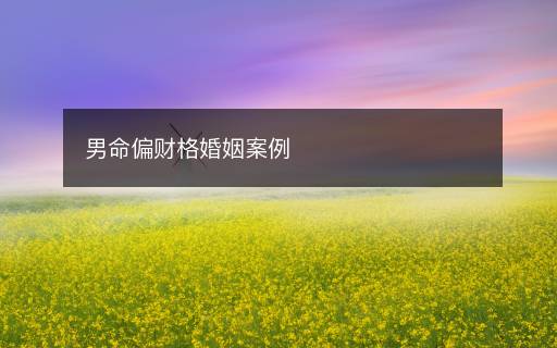 男命偏財(cái)格婚姻案例