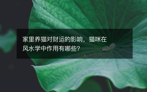 家里養(yǎng)貓對財運好不好，貓咪在風(fēng)水學(xué)中作用有哪些？