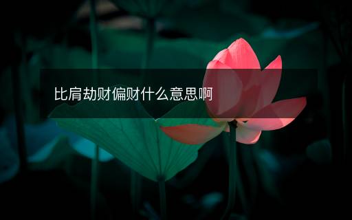 比肩劫財偏財什么意思啊