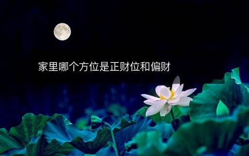 家里哪個(gè)方位是正財(cái)位和偏財(cái)
