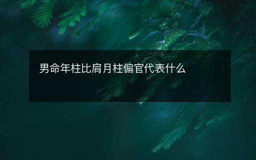男命年柱比肩月柱偏官代表什么