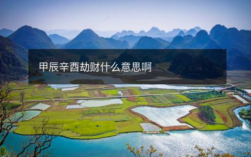 甲辰辛酉劫財什么意思啊