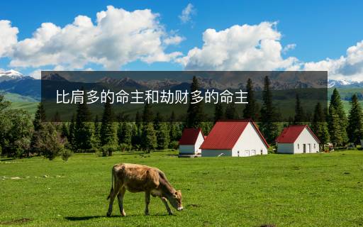 比肩多的命主和劫財多的命主