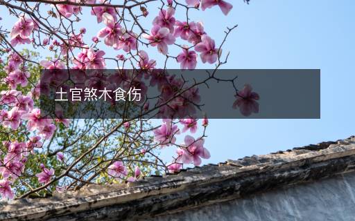 土官煞木食傷