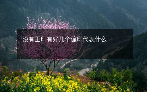 沒有正印有好幾個偏印代表什么