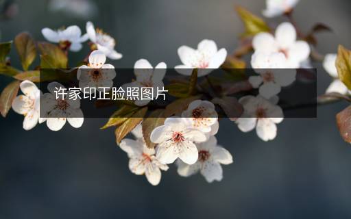 許家印正臉照?qǐng)D片