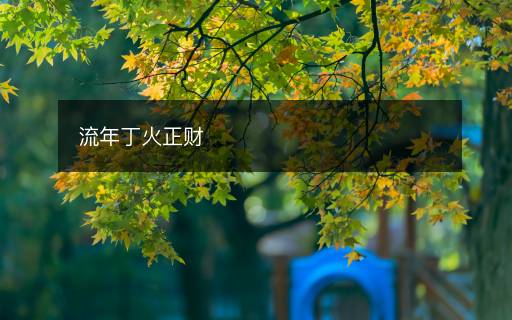 流年丁火正財