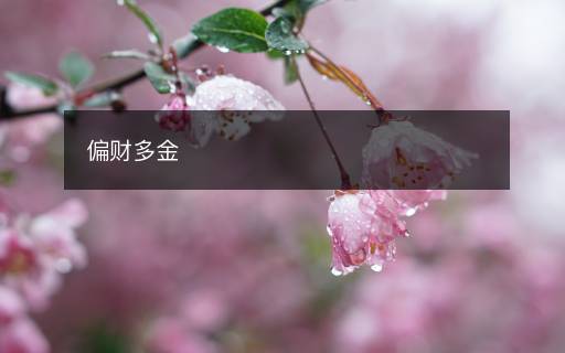 偏財多金