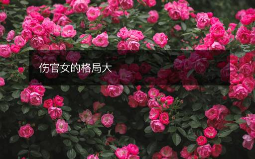 傷官女的格局大