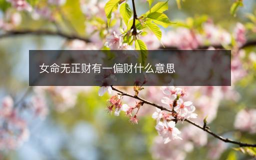 女命無正財有一偏財什么意思