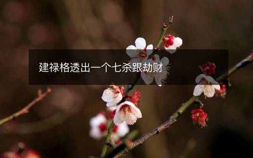 建祿格透出一個(gè)七殺跟劫財(cái)