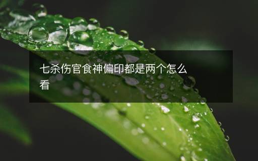 七殺傷官食神偏印都是兩個怎么看