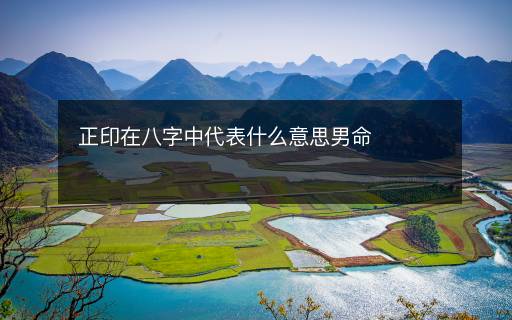 正印在八字中代表什么意思男命