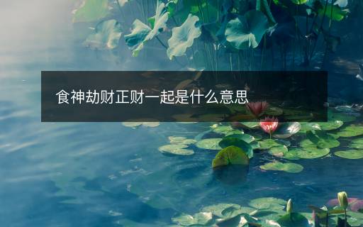 食神劫財正財一起是什么意思