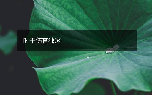 時干傷官獨(dú)透