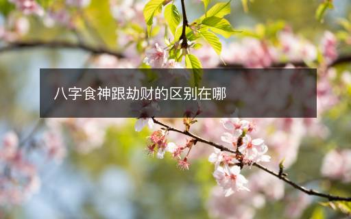 八字食神跟劫財(cái)?shù)膮^(qū)別在哪