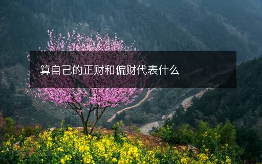 算自己的正財(cái)和偏財(cái)代表什么