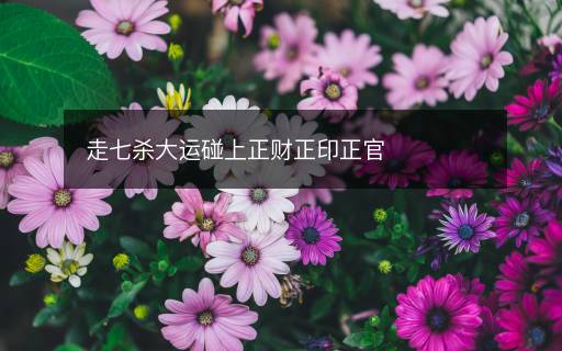 走七殺大運(yùn)碰上正財(cái)正印正官